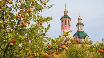 ЯБЛОЧНЫЙ СПАС ЯБЛОЧНЫЙ СПАС.