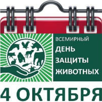 ТЕМАТИЧЕСКИЙ ДЕНЬ ТЕМАТИЧЕСКИЙ ДЕНЬ.