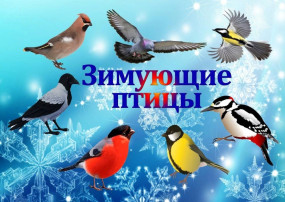 ЭКОЛОГИЧЕСКИЙ ПРАЗДНИК ЭКОЛОГИЧЕСКИЙ ПРАЗДНИК.