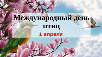 ДЕНЬ ПТИЦ ДЕНЬ ПТИЦ.
