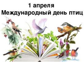 ДЕНЬ ПТИЦ ДЕНЬ ПТИЦ.