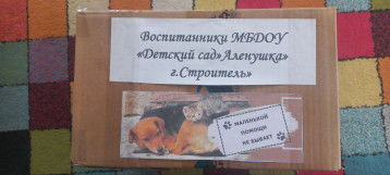 АКЦИЯ "ДОБРОЕ СЕРДЦЕ" АКЦИЯ "ДОБРОЕ СЕРДЦЕ".