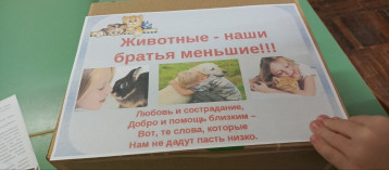 АКЦИЯ "ДОБРОЕ СЕРДЦЕ" АКЦИЯ "ДОБРОЕ СЕРДЦЕ".