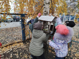 СИНИЧКИН ДЕНЬ СИНИЧКИН ДЕНЬ.