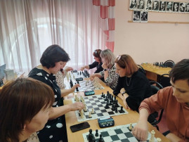 шахматы шахматы.
