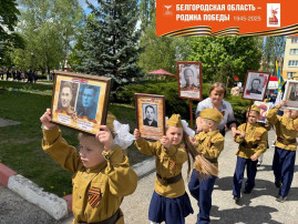 акция акция.
