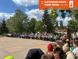 акция акция.
