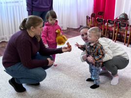 цип цип.