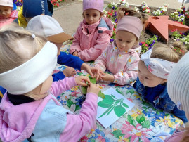 подорожник подорожник.